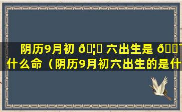 阴历9月初 🦍 六出生是 🐯 什么命（阴历9月初六出生的是什么星座）